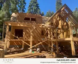 Timber Palace