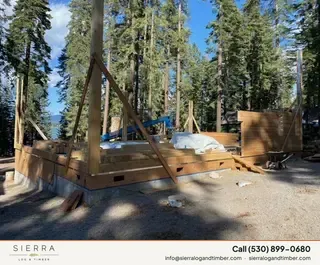 Timber Palace