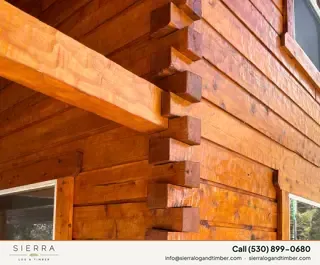 Sierra Log & Timber