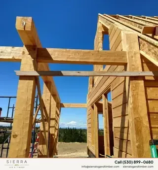 Sierra Log & Timber