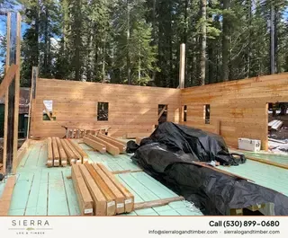 Timber Palace