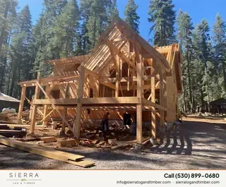 Timber Palace
