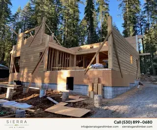 Timber Palace