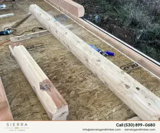 Sierra Log & Timber