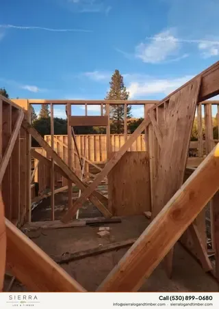 Sandstone