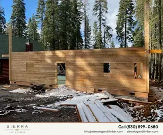 Timber Palace