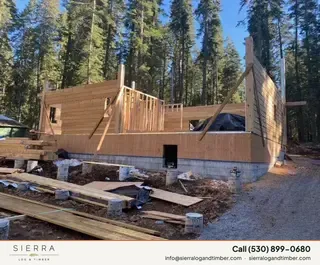 Timber Palace